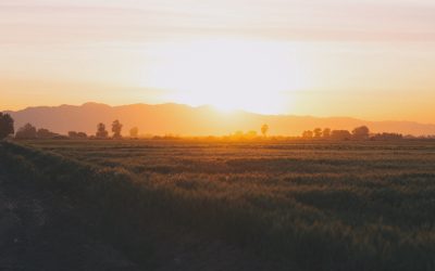 Penggunaan Hydroseeding Pada Lahan Pasca Tambang