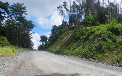 Penggunaan Jasa Konsultan & Kontraktor Reklamasi Tambang Saat Mine Closure