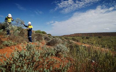 Revegetasi Hydroseeding Menumbuhkan Tanaman dengan Mudah