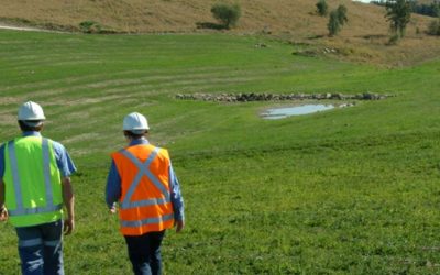 Perlunya Berkonsultasi dengan Konsultan Hydroseeding Sebelum Proses Revegetasi