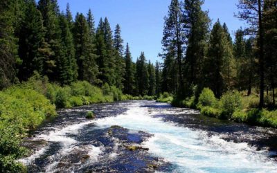 Bagaimana Cara Kontraktor Rehabilitasi DAS Bekerja