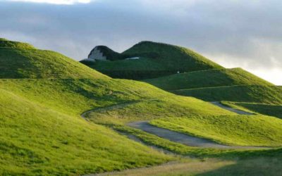 Produk ATR Pengganti Top Soil