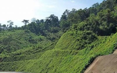 Mencegah Erosi pada Lereng dengan menggunakan Metode Antares Erosion Control