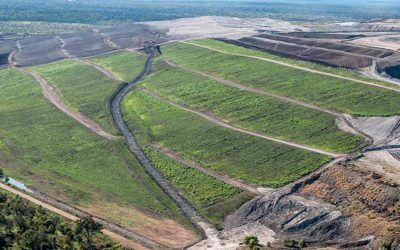 Vegetation Mat, Hydroseeding, Atau Tebar Benih?