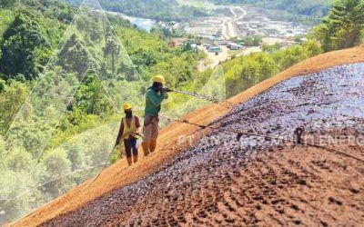 Solusi Inovatif, Yuk kenali Manfaat Metode Hydroseeding