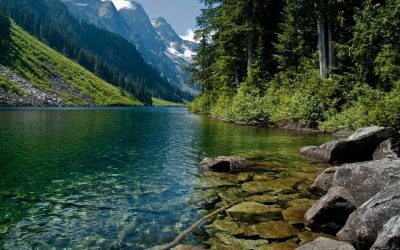 Mengenal Daerah Aliran Sungai dan Memilih Kontraktor Rehabilitasi Daerah Aliran Sungai