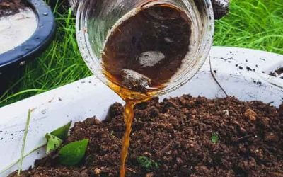 Tanah jadi Subur, Ini Manfaat Pupuk Organik Cair