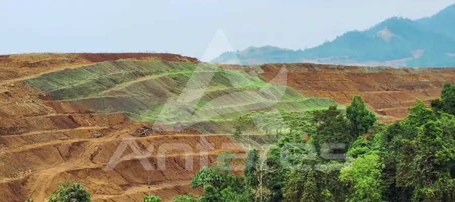 Reklamasi Tambang: Solusi Pemulihan atau Sekadar Formalitas?