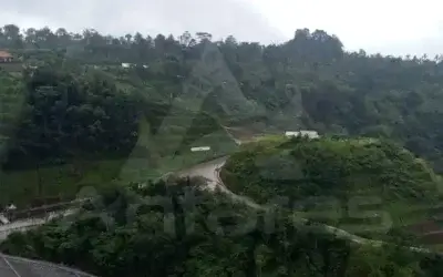 Alasan Penting Revegetasi di Area Bendungan Harus Dilakukan