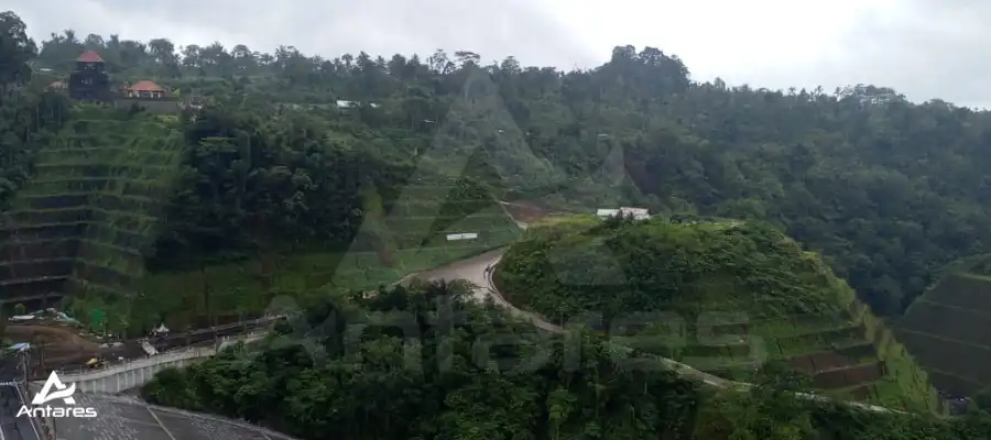Alasan Penting Revegetasi di Area Bendungan Harus Dilakukan