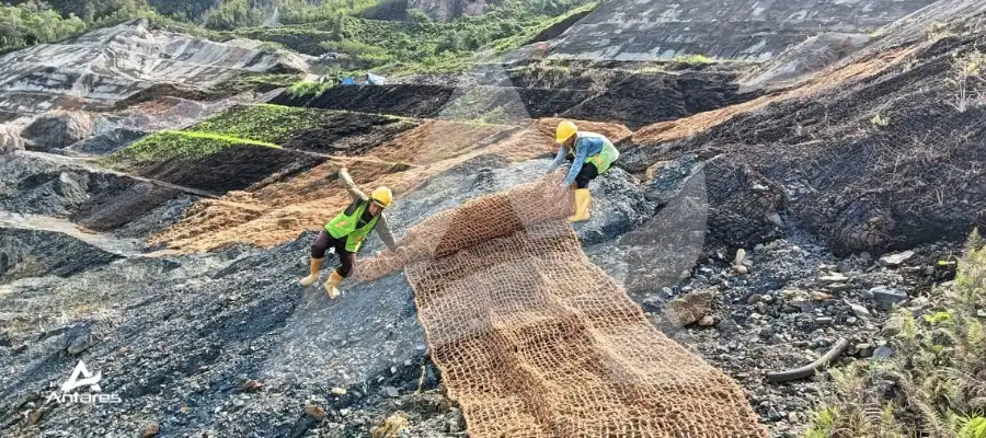 Kondisi Ekstrem yang Bikin Reklamasi Tambang Hampir Mustahil