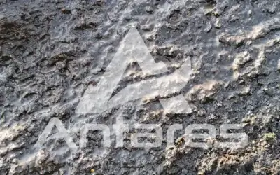 Bahan Hydroseeding Tepat: Kunci Sukses Revegetasi Lahan Kritis