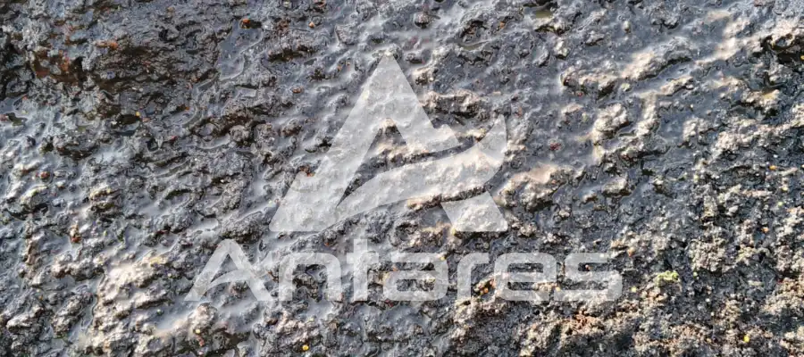 Bahan Hydroseeding Tepat: Kunci Sukses Revegetasi Lahan Kritis