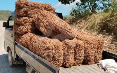 Lindungi Erosi Tanah! Ini Keunggulan Cocomesh untuk Revegetasi