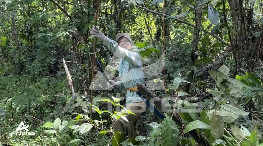 Antares Hydroseeding