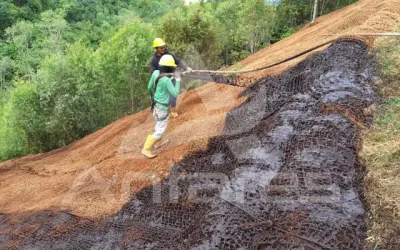 Alasan Hydroseeding Jadi Tren dan Diperlukan Berbagai Sektor