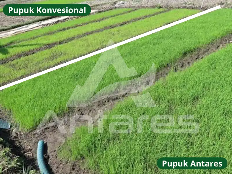 Konvesional VS ATR
