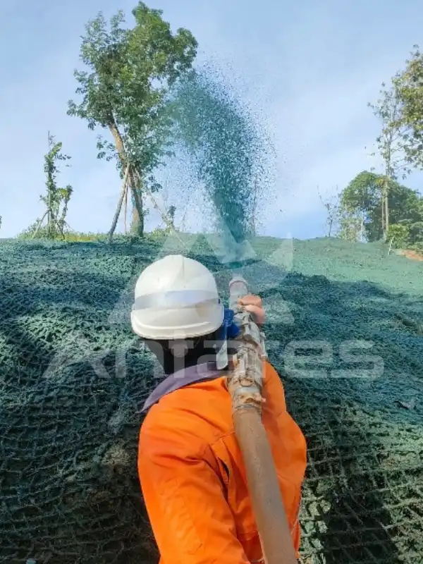 hydroseeding