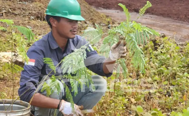 kontraktor berpengalaman