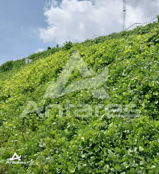 slope antares (1)
