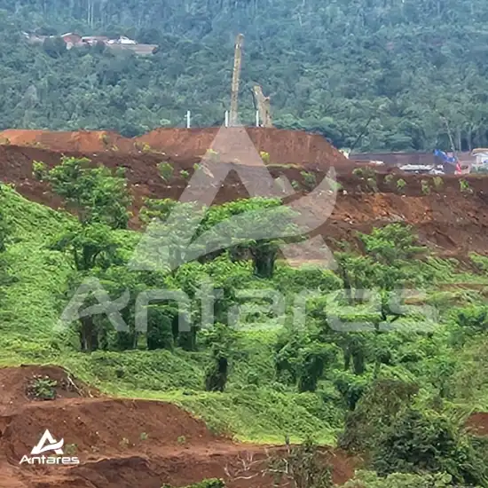 stargate hasil revegetasi lahan